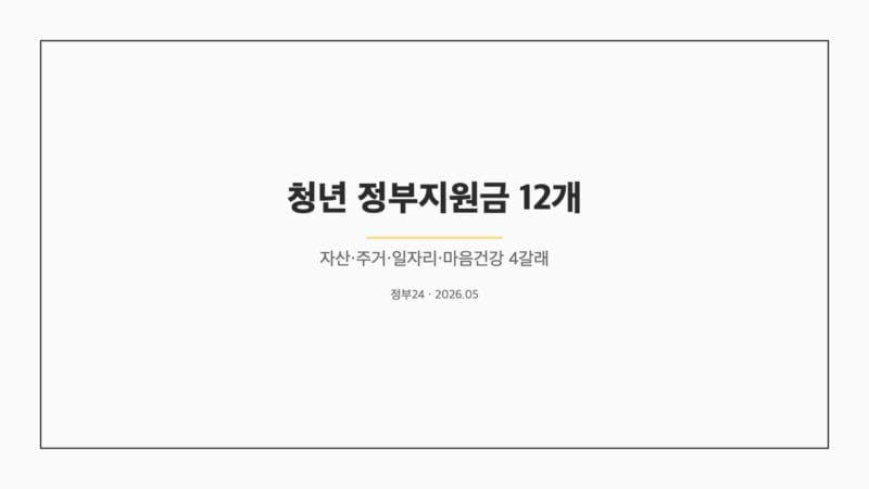 청년 정부지원금 12개 매트릭스 표지