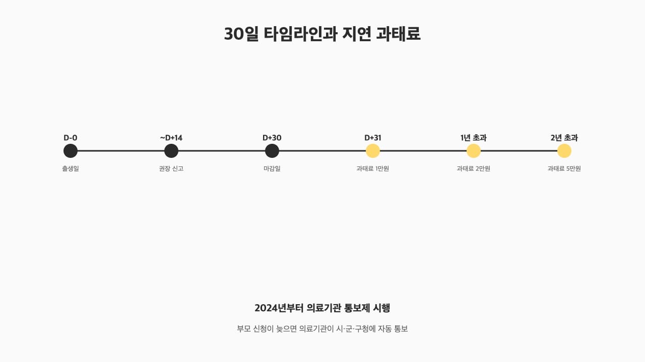 정부24 출생신고 30일 타임라인과 지연 과태료