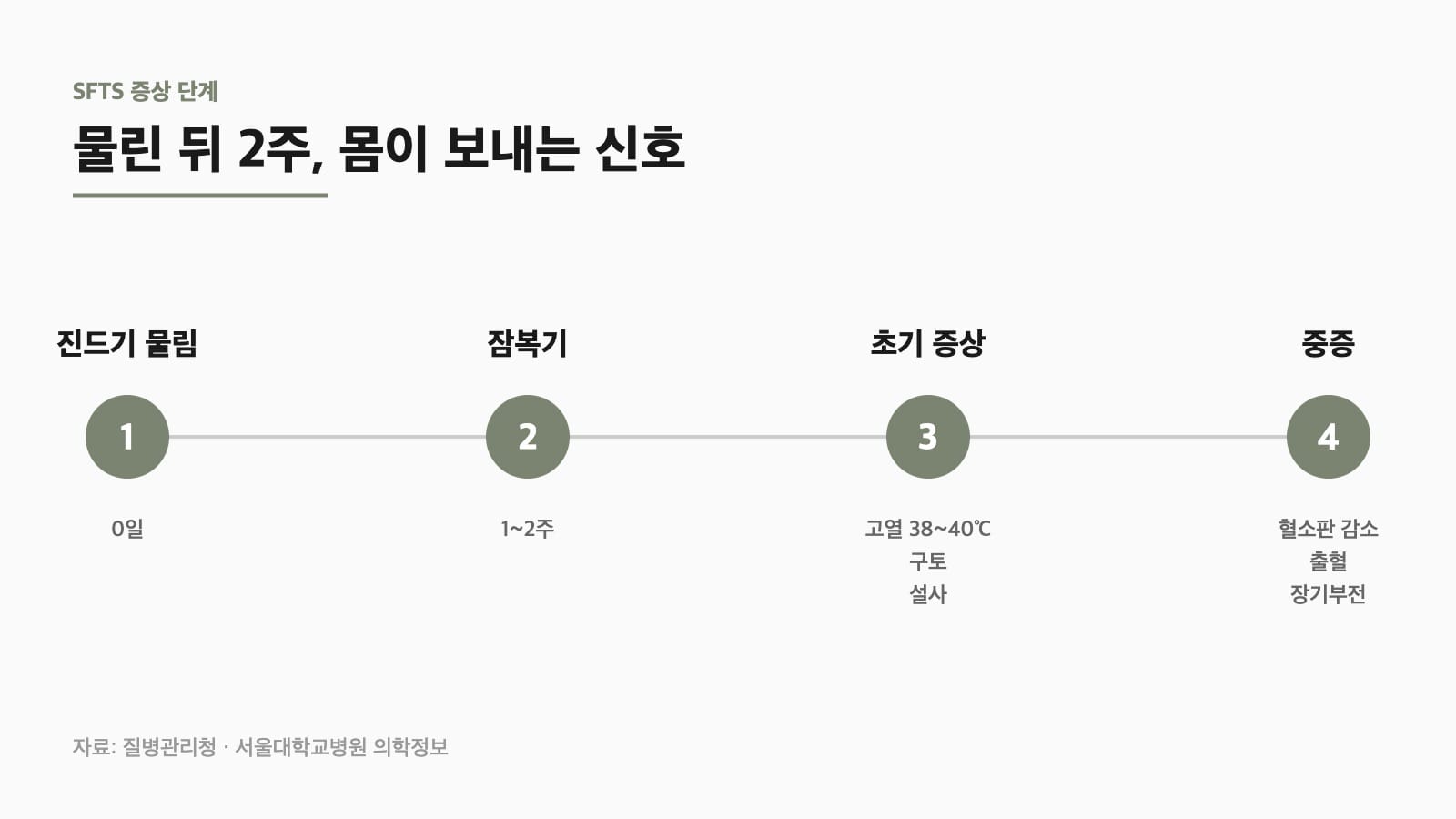 SFTS 예방을 위한 증상 단계 인포그래픽 — 잠복기부터 중증까지